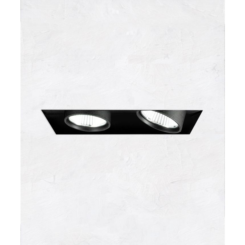 2-Head Multiple Adjustable Pull-Down Recessed LED Light