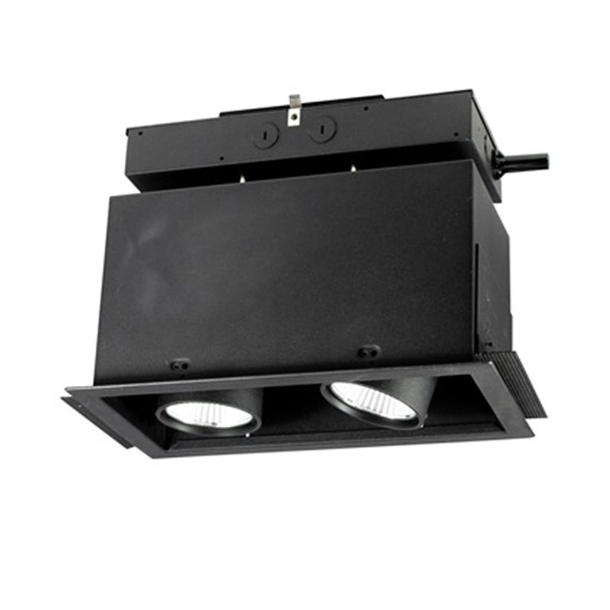 2-Head Multiple Adjustable Pull-Down Recessed LED Light