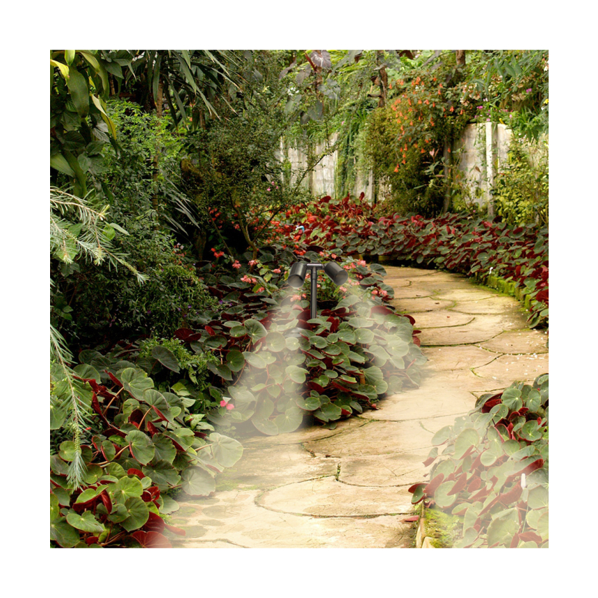 Brass Front-Facing Twin Landscape LED Path Light