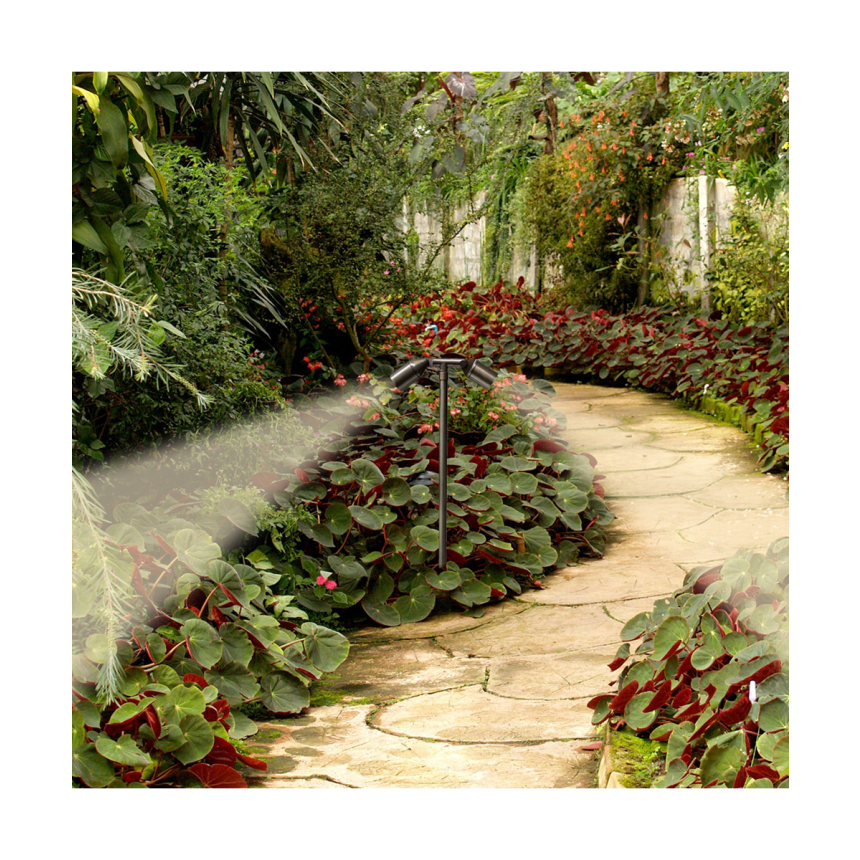 Brass LED Directional Twin Landscape Path Light