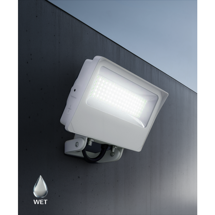 Alcon 11414-YK CCT Selectable Trunnion Mount LED Flood Light shown in a white finish.