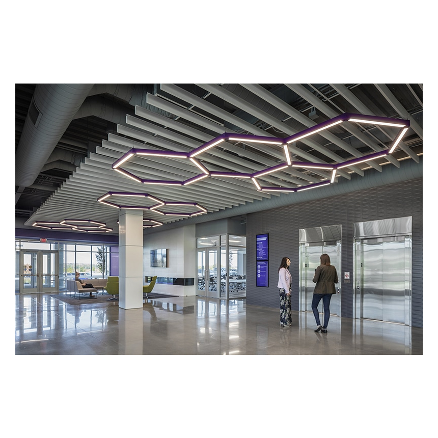 Bartco Lighting BSS610 2” Wide Multi-Axis Direct LED Luminaire System