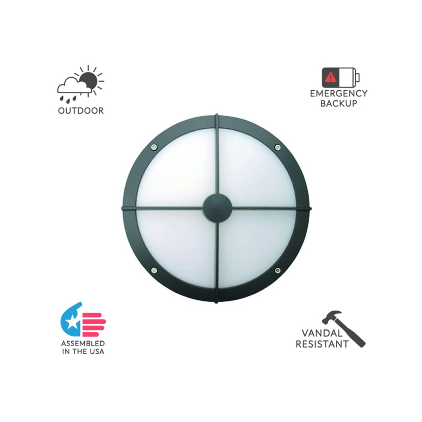 Alcon 11231-BG 10-Inch Architectural LED Wallpack