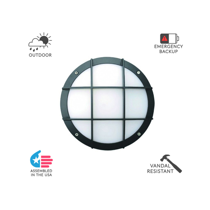 Alcon 11231-CG 10-Inch Architectural LED Wallpack