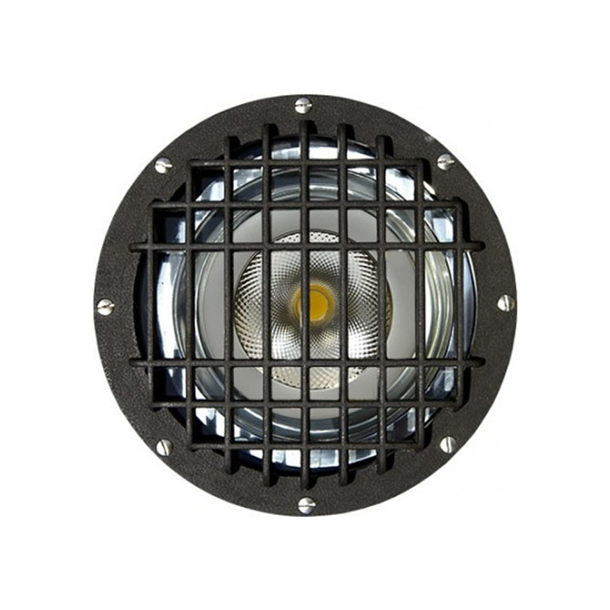 12-Inch Turtle Friendly In-Ground LED Well Light