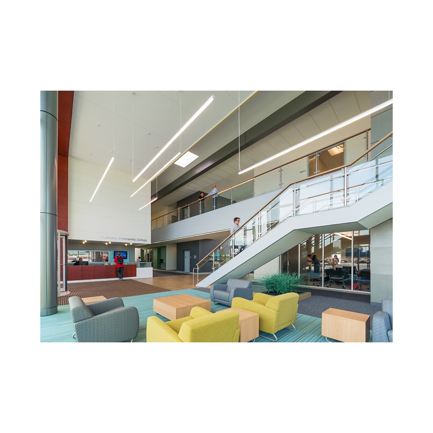 Birchwood Lighting HAILEY LED Round Linear Suspended Light Fixture