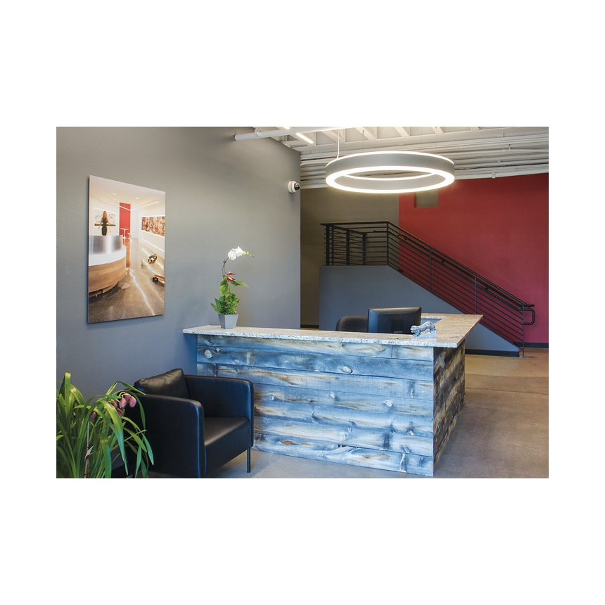 Birchwood Lighting KATRINA LED Round Direct / Indirect Light Fixture | Suspended / Surface Mount