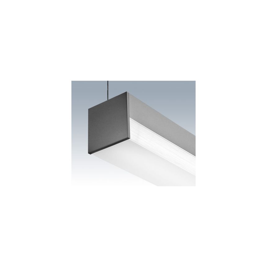 Birchwood Lighting NOLAN LED Suspended Light Fixture