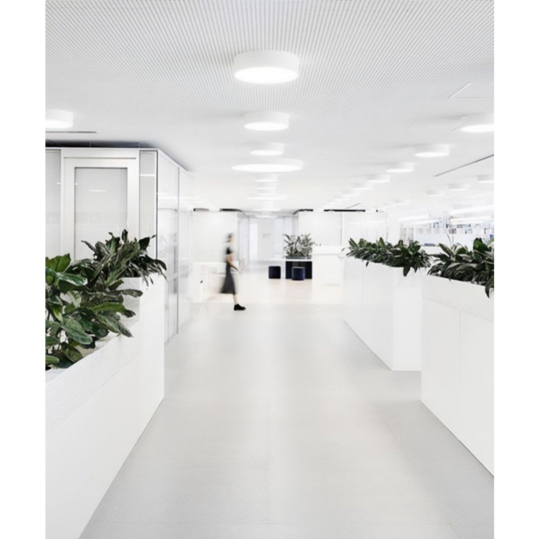 White flush mount disk lights in varying sizes line corridors in a modern office.