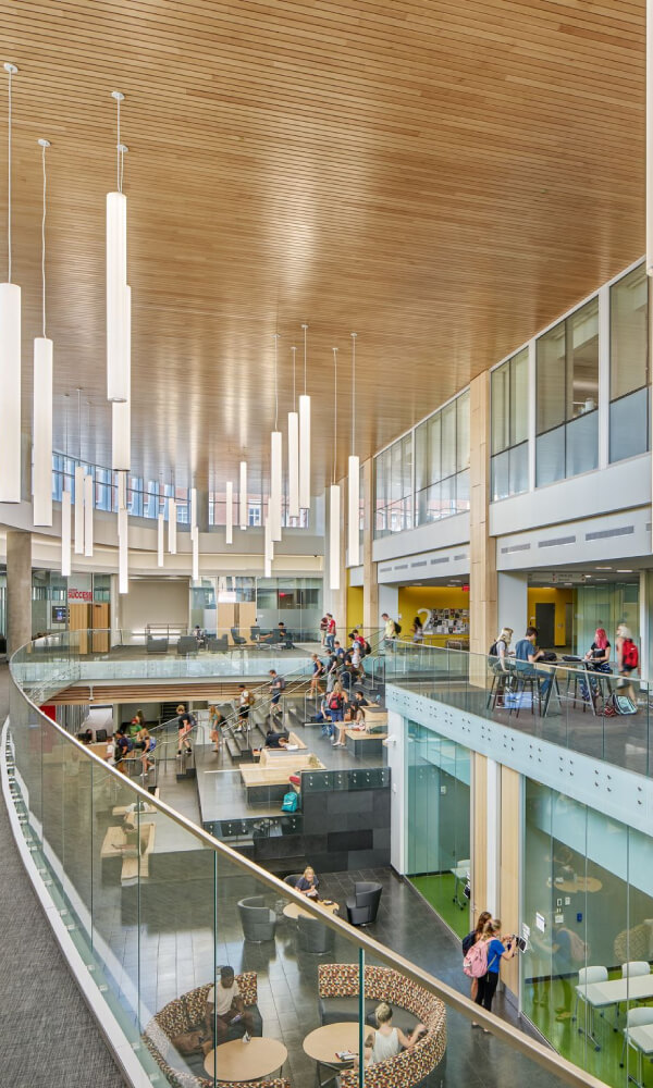 Vertical tube pendant lights suspended at varying heights provide soft, uniform illumination in a school atrium.
