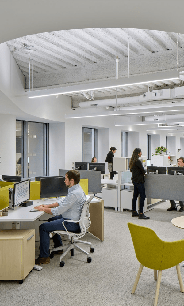 Direct/indirect linear pendant lights illuminate an open office with uplight and downlight to support visual comfort and reduce glare.