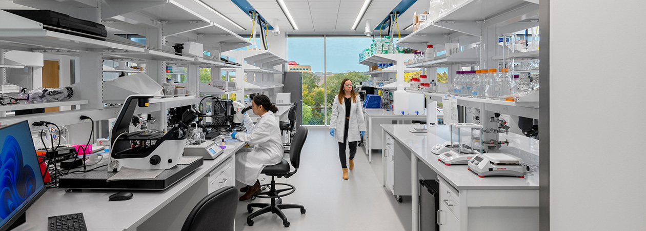 Surgical, MRI and Lab Lighting