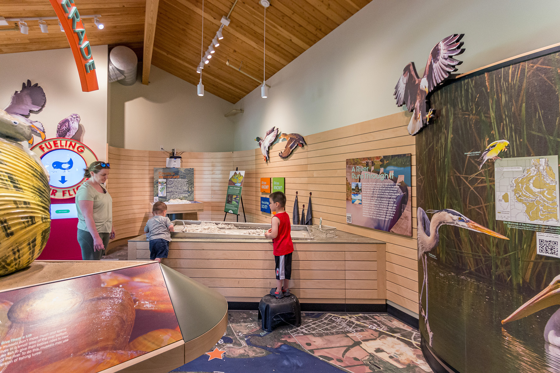Cylinder downlights provide general lighting over an interactive exhibit for children at the Four Rivers Environmental Education Center, while LED track lights illuminate wall displays about local wildlife.
