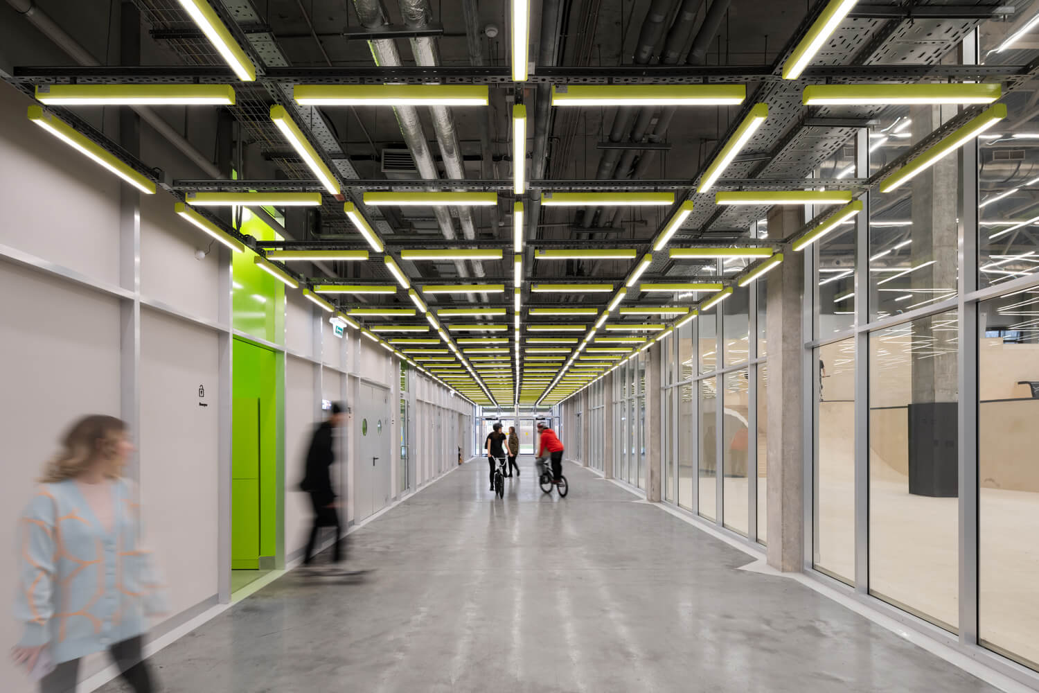 Linear LED ceiling lights with a distinctive green finish mounted to an exposed grid in a warehouse converted to a skate park