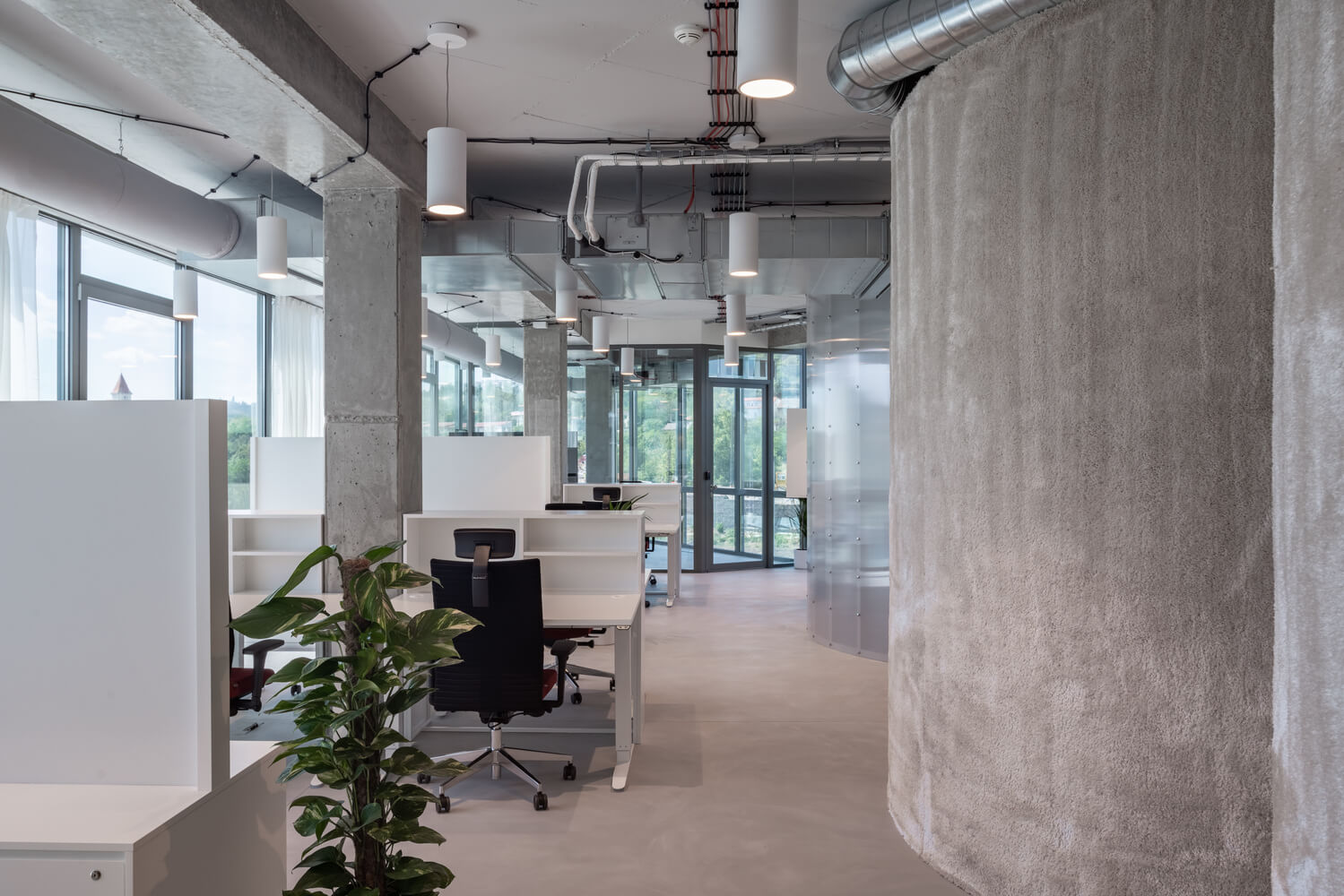 White cylinder pendant downlights provide general lighting in an open floor plan office space with large windows facing the street