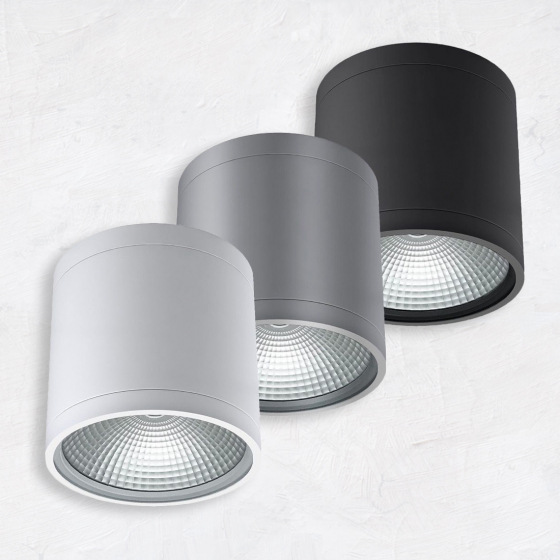 Alcon 11236-DIR Pavo Architectural LED 6 Inch Cylinder Ceiling Light