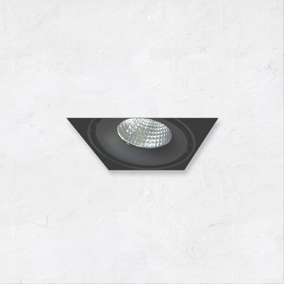 Alcon 14026-1 Oculare 1-Head Trimless Adjustable LED Recessed Light