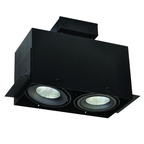 Alcon 14026-2 Oculare 2-Head Trimless Adjustable LED Recessed Light