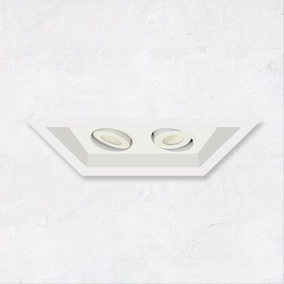 Image 1 of Alcon 14300-2 Oculare 2-Head Multiple Flanged Adjustable LED Recessed Light