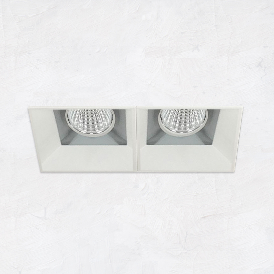 Alcon 14310-2 Oculare LED Architectural 2-Head Multiple Recessed Lighting System Fixture 
