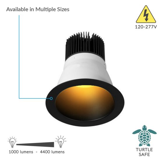 Alcon 11248 Turtle Friendly Architectural Amber LED Commercial Retrofit Downlight Fixture