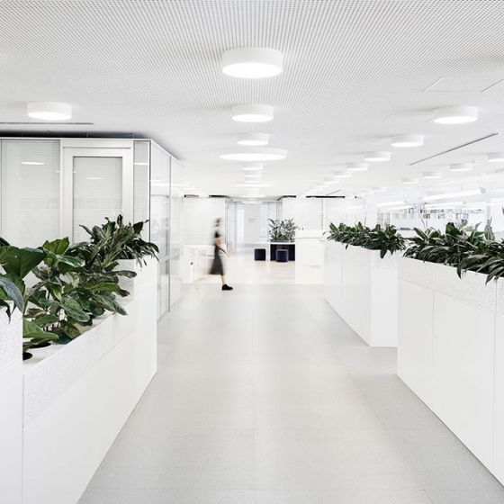 Alcon 12201-S Round LED Surface Light
