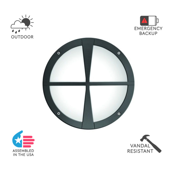 Alcon 11231-D 10-Inch Architectural LED Wallpack