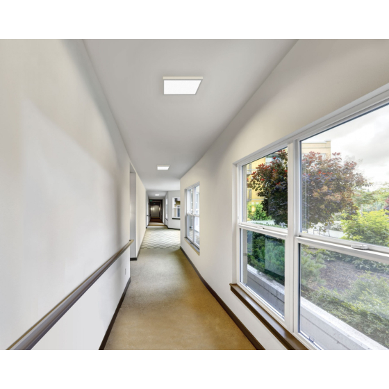 Alcon Lighting 11171-12 Disk Architectural LED 12 Inch Square Surface Mount Direct Down Light 