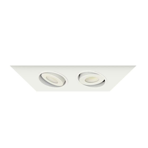Alcon 14300-2 Oculare 2-Head Multiple Flanged Adjustable LED Recessed Light