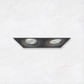 Alcon 14026-2 Oculare 2-Head Trimless Adjustable LED Recessed Light