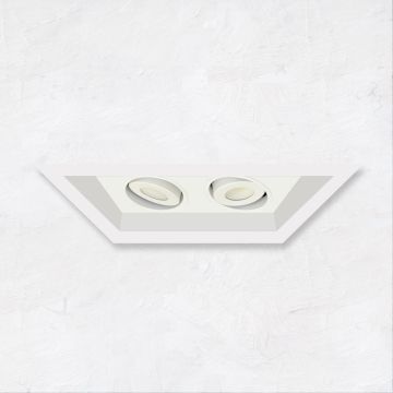 Alcon 14300-2 Oculare 2-Head Multiple Flanged Adjustable LED Recessed Light