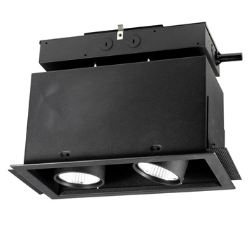 Alcon 14113-2 Oculare Architectural LED Adjustable 2-Head Pull-Down Fixture