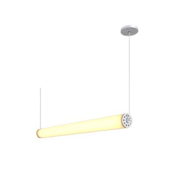 Alcon 12168-1-H-P, suspended linear pendant light shown in silver finish and with a central cylindrical lens.