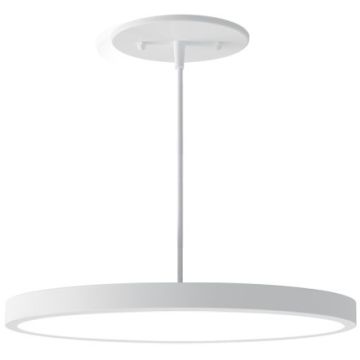 Alcon 12182-12 Architectural LED 12 Inch Disk Pendant Light