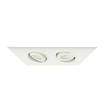 Alcon 14300-2 Oculare 2-Head Multiple Flanged Adjustable LED Recessed Light