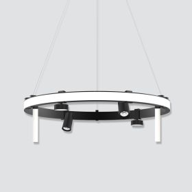 Alcon 15120 Exterior Rounded Pendant LED Lighting System
