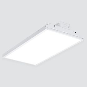 Alcon 14141 High-Bay Pendant or Ceiling Surface Light