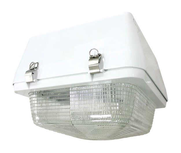 Alcon Lighting D538 Led 18 X 18 Canopy Parking Garage Light
