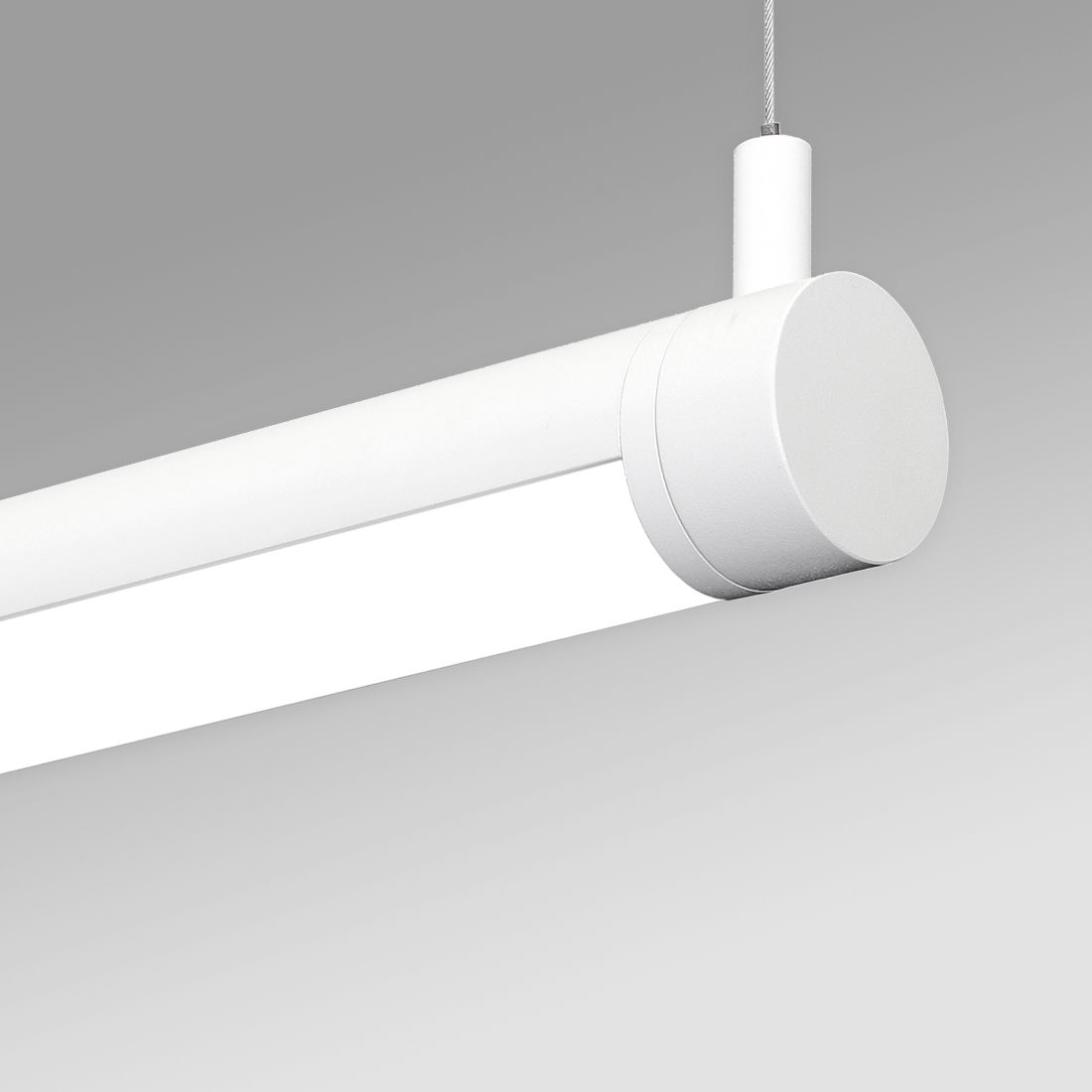 Alcon 12501 R2 P Rotatable Antimicrobial Led Pendant Tube Light Commercial Grade Healthcare Lighting